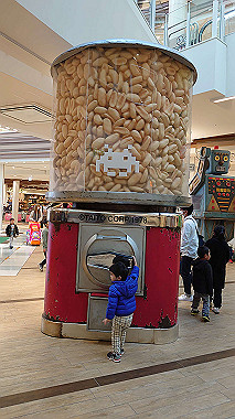 dsc_9653_thumb.jpg