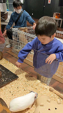 pxl_20221218_051250245.mp4_snapshot_00.00_thumb.jpg