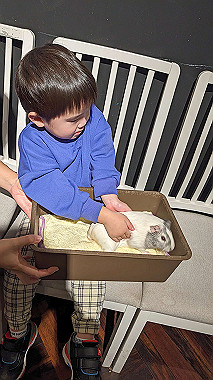 pxl_20221218_052054739.mp_original_thumb.jpg