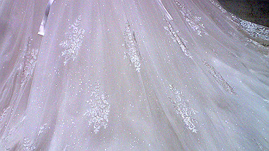 pa011290_thumb.jpg