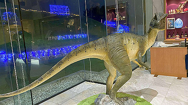 20221012_17-51-20_860_thumb.jpg