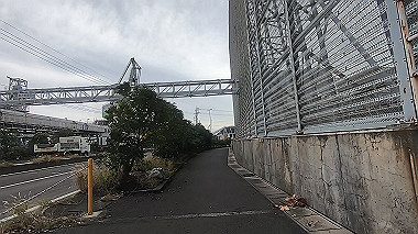 20221012_gx016948.mp4_snapshot_09.53_thumb.jpg