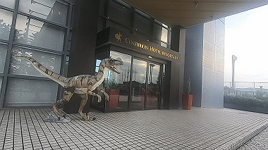20221012_gx016977.mp4_snapshot_00.30_thumb.jpg