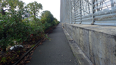 20221012_pa121383_thumb.jpg