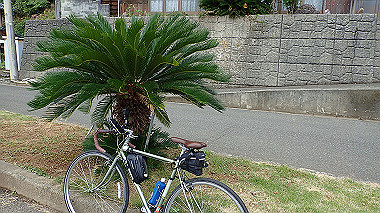 20221012_pa121430_thumb.jpg