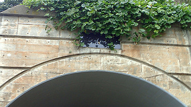 20221012_pa121437_thumb.jpg