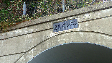 20221012_pa121438_thumb.jpg