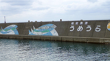 20221012_pa121463_thumb.jpg