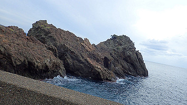 20221012_pa121470_thumb.jpg