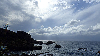 20221012_pa121484_thumb.jpg