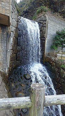 20221012_pa121491_thumb.jpg