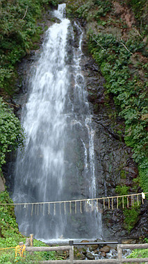 20221012_pa121518_thumb.jpg