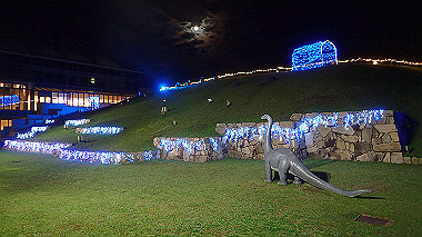 20221012_pa121547_thumb.jpg