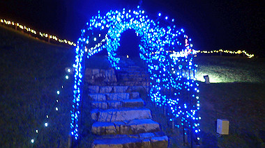 20221012_pa121548_thumb.jpg