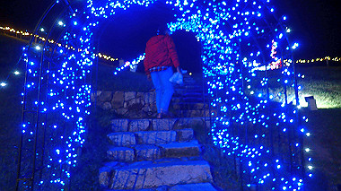 20221012_pa121550_thumb.jpg