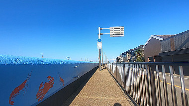 20221013_gx016981.mp4_snapshot_00.29_thumb.jpg