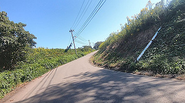 20221013_gx016994.mp4_snapshot_04.47_thumb.jpg