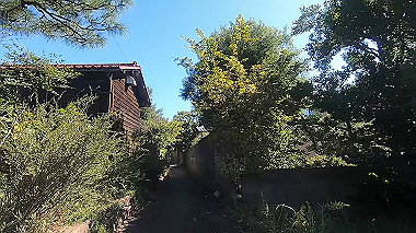 20221013_gx016998.mp4_snapshot_01.07_thumb.jpg