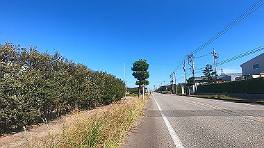 20221013_gx017008.mp4_snapshot_00.40_thumb.jpg