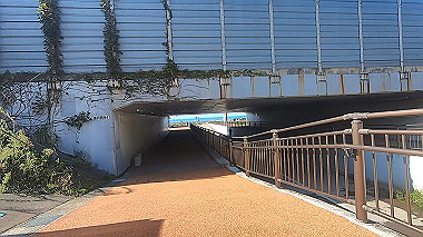 20221013_gx017010.mp4_snapshot_00.14_thumb.jpg
