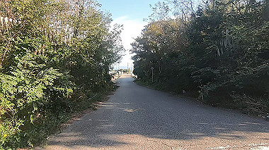 20221013_gx017020.mp4_snapshot_01.53_thumb.jpg