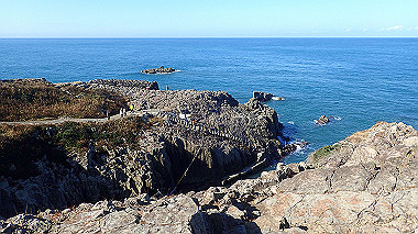 20221013_pa131577_thumb.jpg