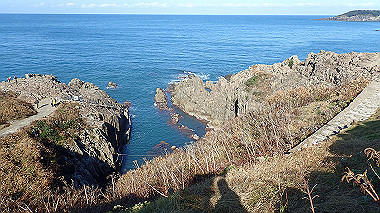 20221013_pa131579_thumb.jpg