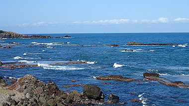 20221013_pa131583_thumb.jpg