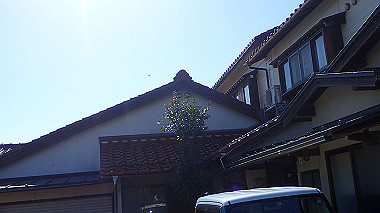 20221013_pa131596_thumb.jpg