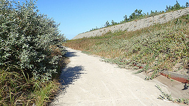 20221013_pa131616_thumb.jpg