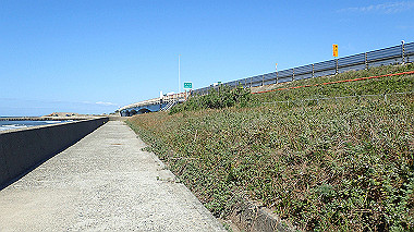 20221013_pa131621_thumb.jpg