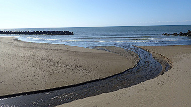 20221013_pa131657_thumb.jpg