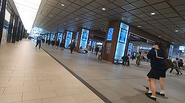 20221014_gx017023.mp4_snapshot_02.23_thumb.jpg