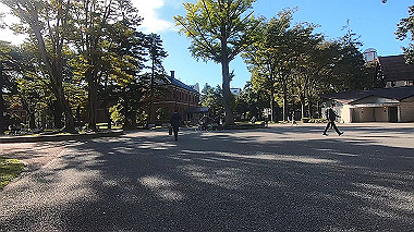 20221014_gx017027.mp4_snapshot_00.54_thumb.jpg
