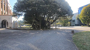 20221014_gx017027.mp4_snapshot_03.04_thumb.jpg