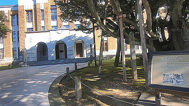 20221014_gx017027.mp4_snapshot_03.41_thumb.jpg