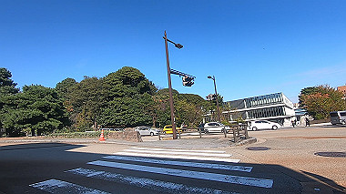 20221014_gx017034.mp4_snapshot_01.16_thumb.jpg