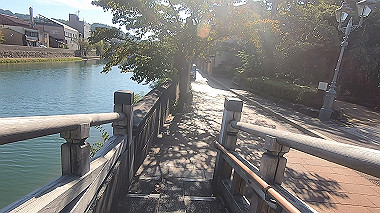 20221014_gx017036.mp4_snapshot_00.55_thumb.jpg