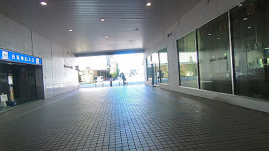20221014_gx017038.mp4_snapshot_01.13_thumb.jpg