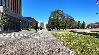 20221014_gx017039.mp4_snapshot_02.11_thumb.jpg