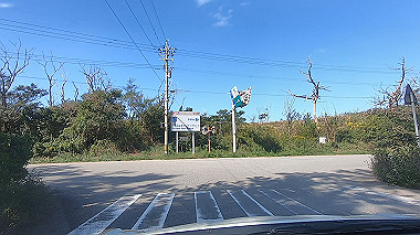 20221014_gx017045.mp4_snapshot_00.49_thumb.jpg