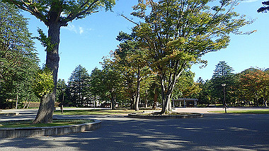 pa141704_thumb.jpg