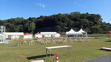 pa141717_thumb.jpg