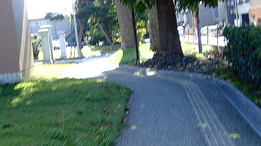 pa141784_thumb.jpg
