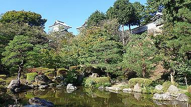 pa141808_thumb.jpg