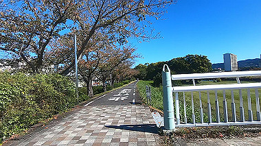 20221020_gx017059.mp4_snapshot_00.15_thumb.jpg