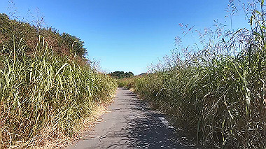 20221020_gx017060.mp4_snapshot_00.00_thumb.jpg