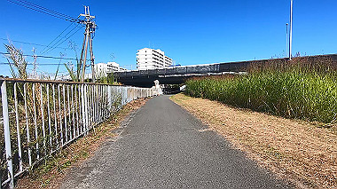 20221020_gx017062.mp4_snapshot_00.03_thumb.jpg