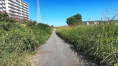 20221020_gx017062.mp4_snapshot_00.58_thumb.jpg