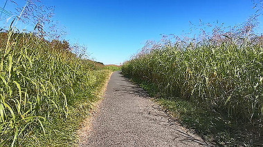 20221020_gx017062.mp4_snapshot_01.31_thumb.jpg